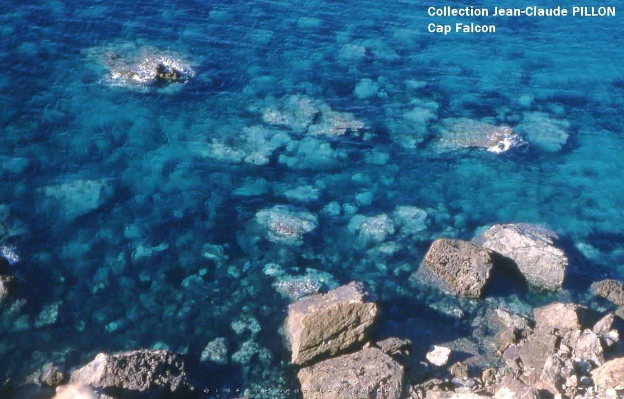 CAP FALCON FONDS MARINS.jpg